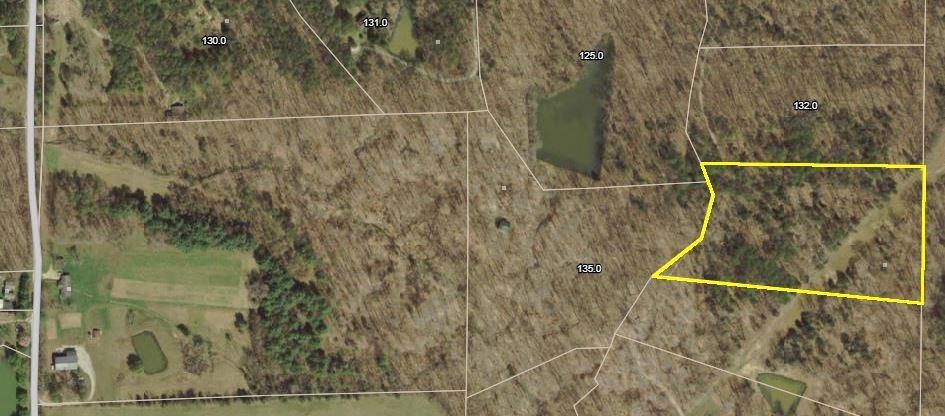 Lot 17 Christianburg Rd - Photo 1