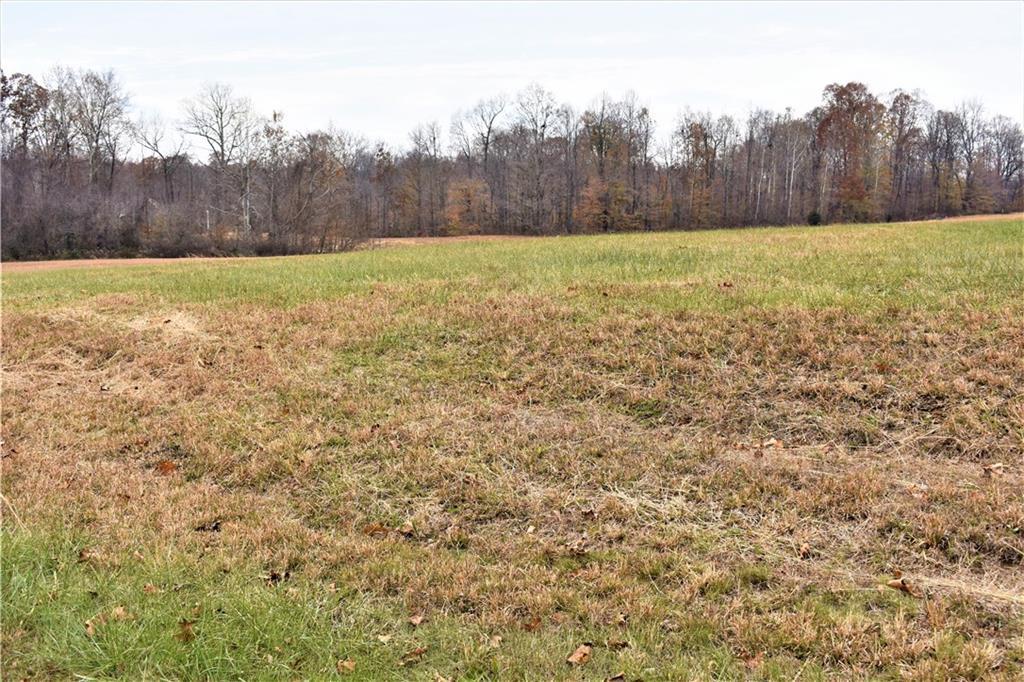 3200 Kestrel Court - Photo 1
