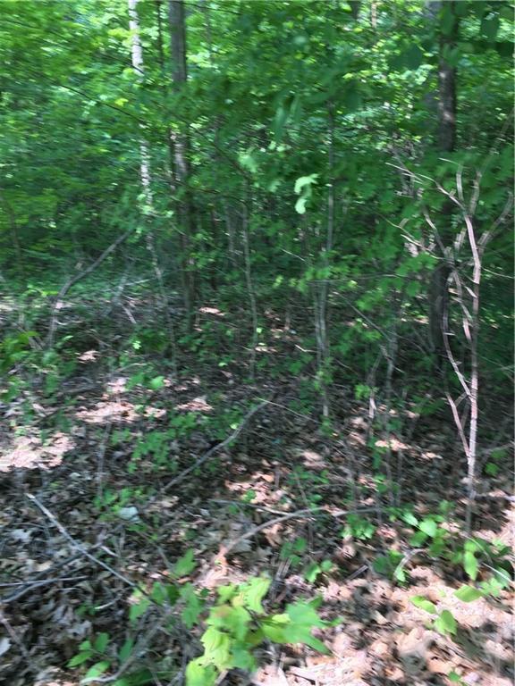 3407 Hancock Ridge Road - Photo 1