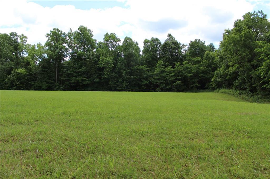 10 Acres Camp Branch Road - Photo 1