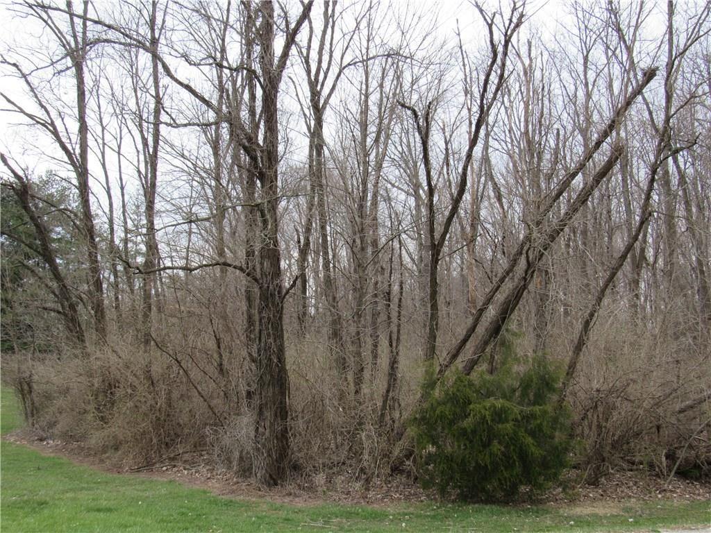 0 Cedarview Drive - Photo 1