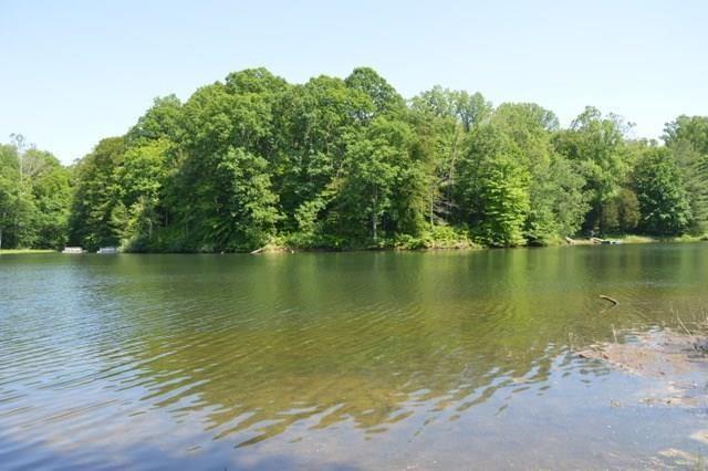 0 Locust Lake W Drive - Photo 1