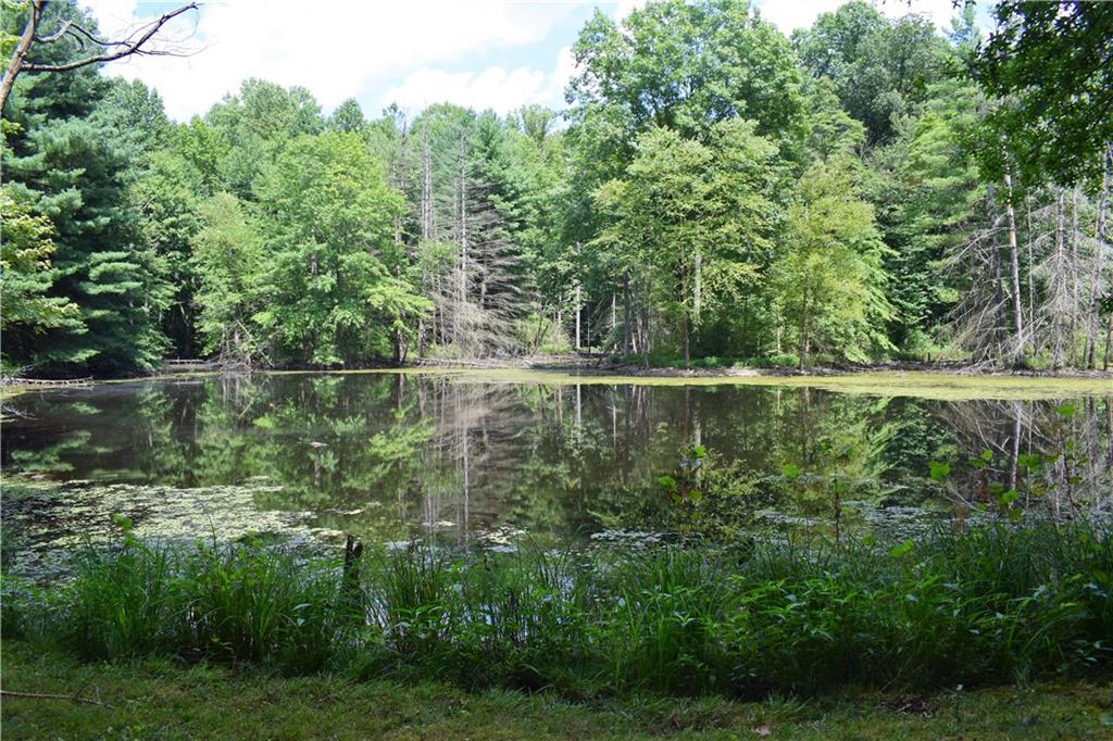 0 775 E - Photo 1