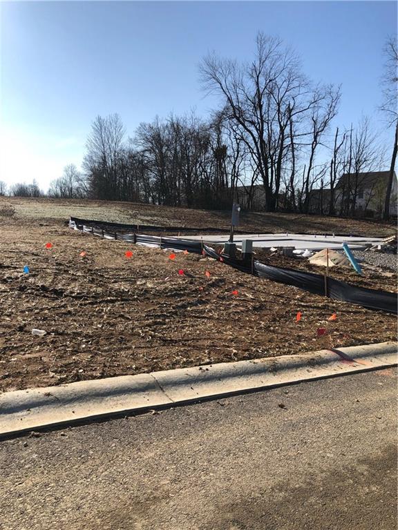 4405 (Lot 1) Centennial Drive - Photo 1