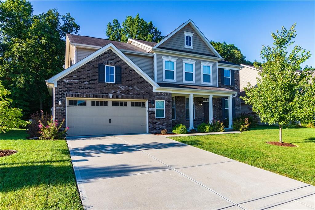 5699 Chazimal Street - Photo 1