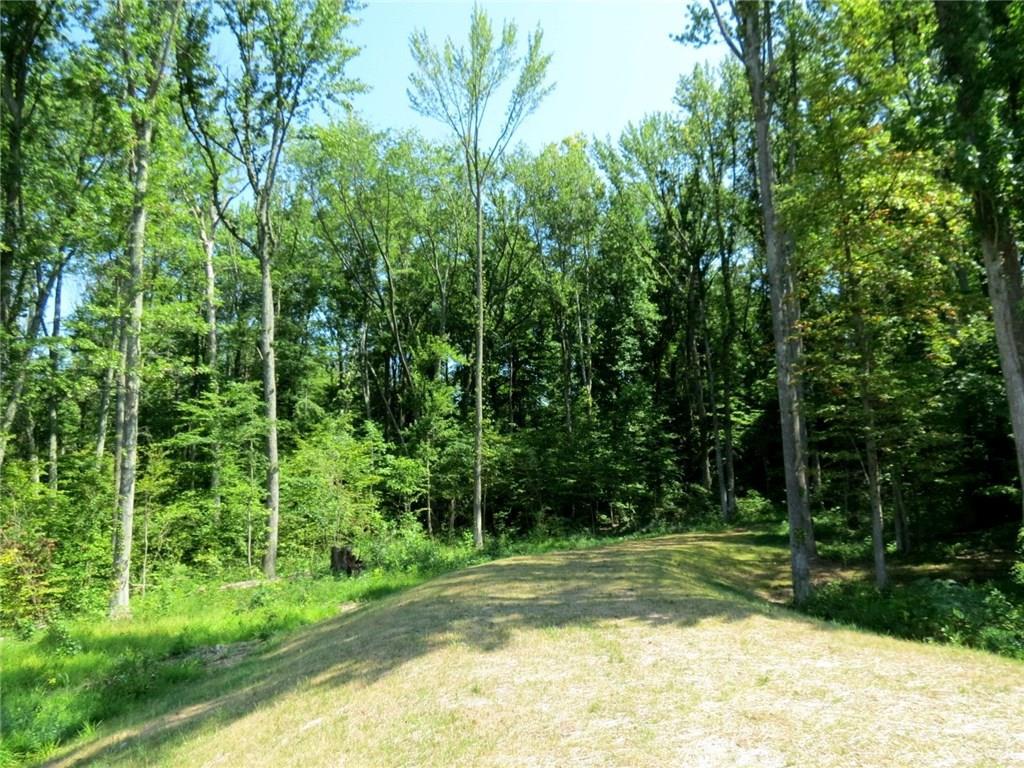 LOT 4 Tipton Lake Boulevard - Photo 1