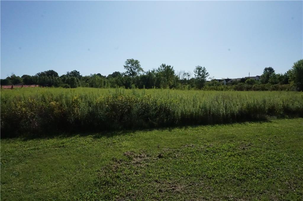 2801 Mitthoeffer Road - Photo 1