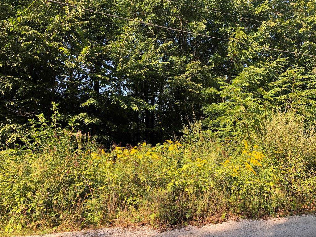 48 Jefferson Valley Road - Photo 1