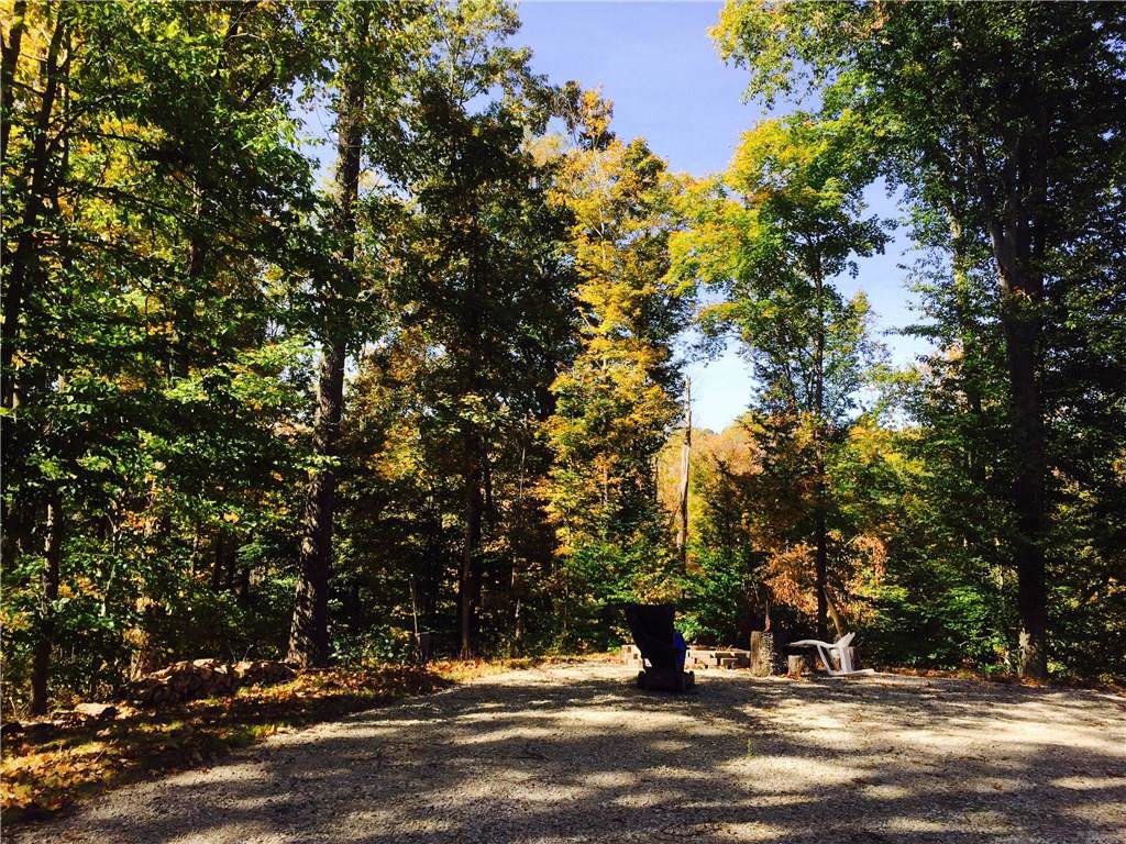 6221 Porter Road - Photo 1