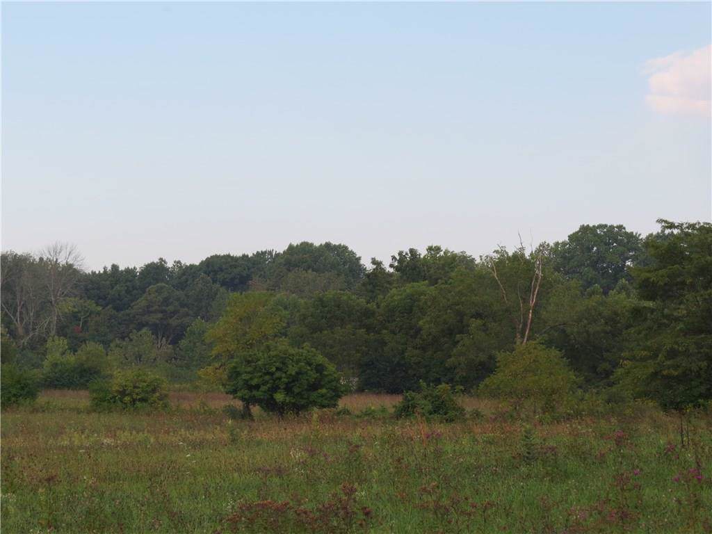 0 Spring Lake Road - Photo 1
