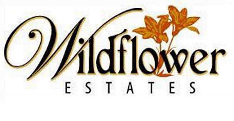 2550 Coneflower Court - Photo 1