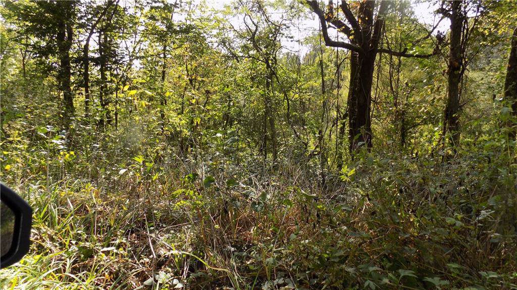 42240 800 - Photo 1