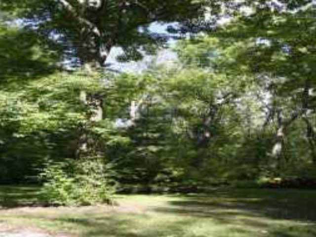 2405 99th St E - Photo 1