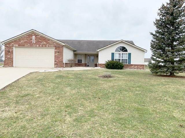 4708 Elise Court - Photo 1