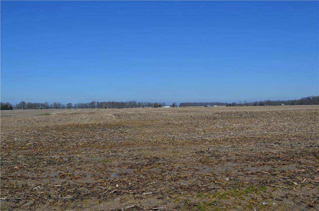 0 State Road 44 Road - Photo 1