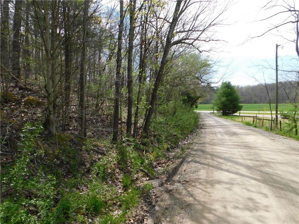 n/a Reed Hollow Road - Photo 1 n/a Reed Hollow Road - Photo 1