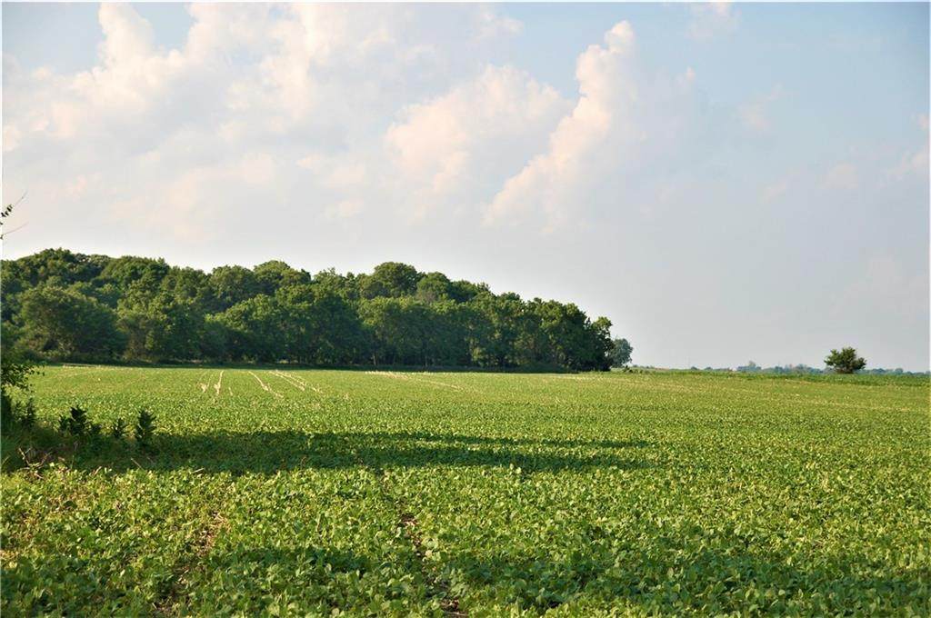 10188 E State Road 47 - Photo 1