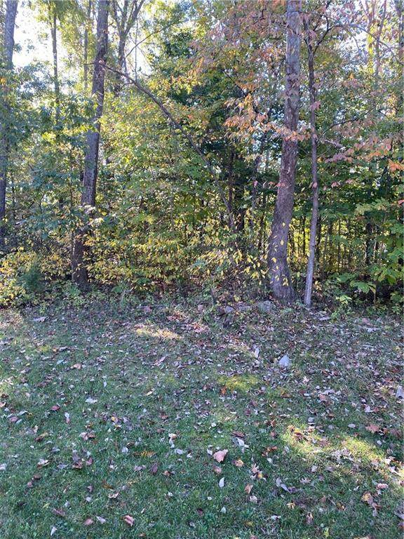 5449 (Lot 119) Channing Way - Photo 1