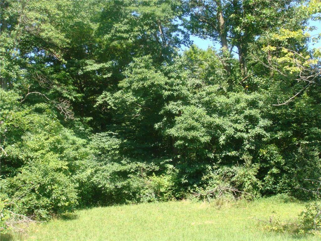 371 Oneida Trail - Photo 1