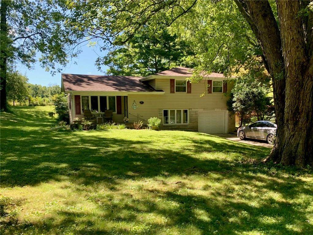 2071 Black Creek Valley Road - Photo 1