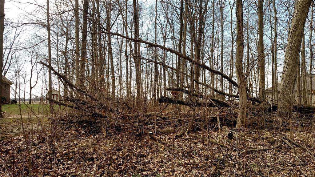 00 Beechwood Trail - Photo 1