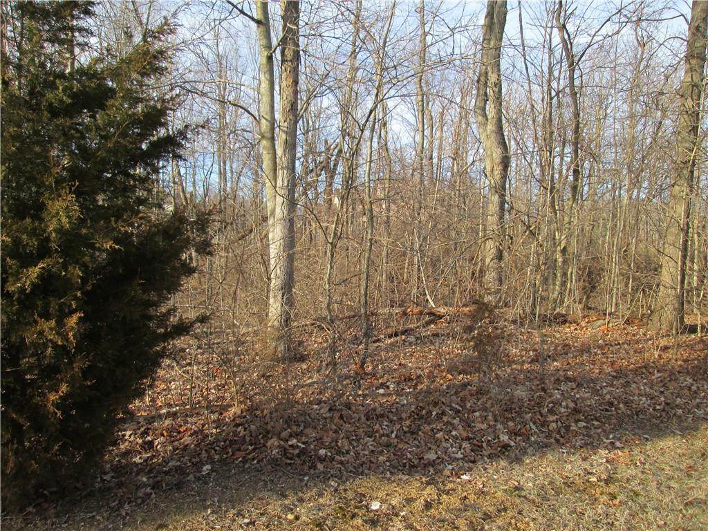 6080 Cedar Bend Way - Photo 1