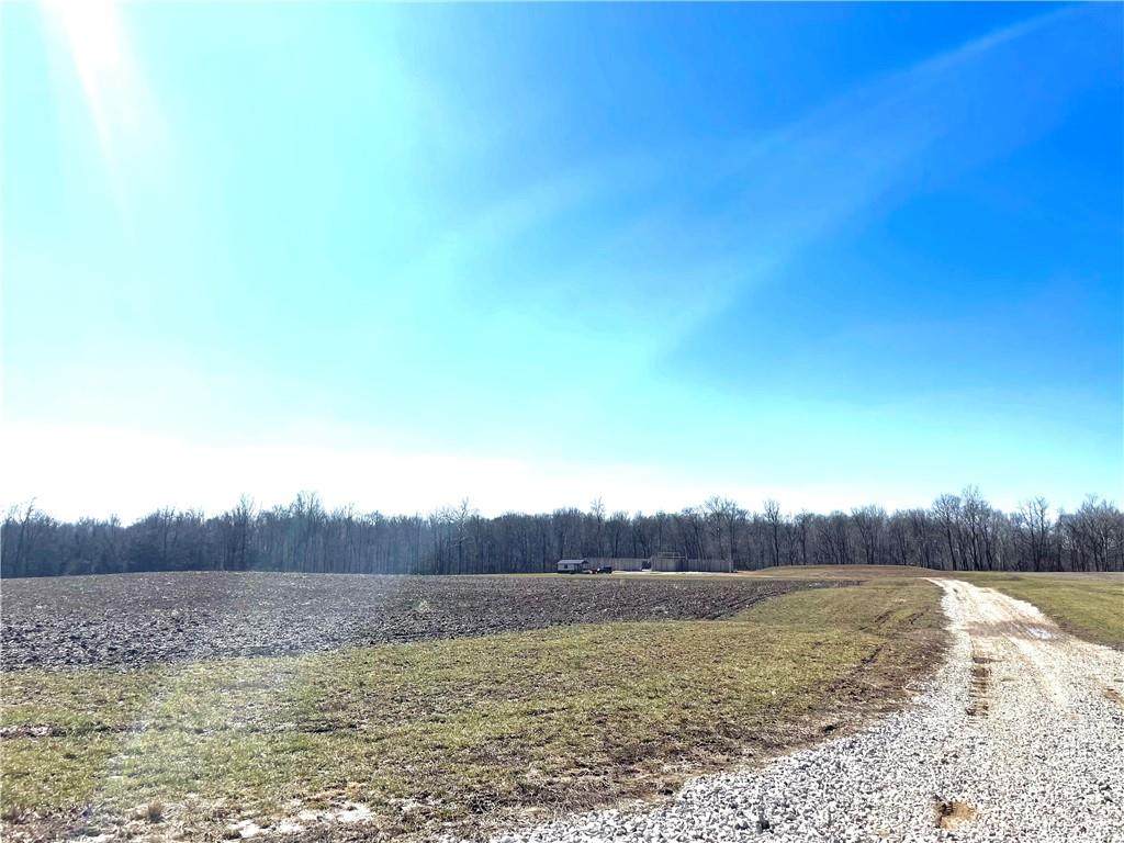 6520 County Road 250 - Photo 1