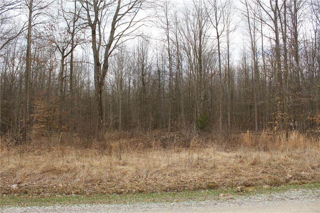 0 Co Road 450 E - Photo 1