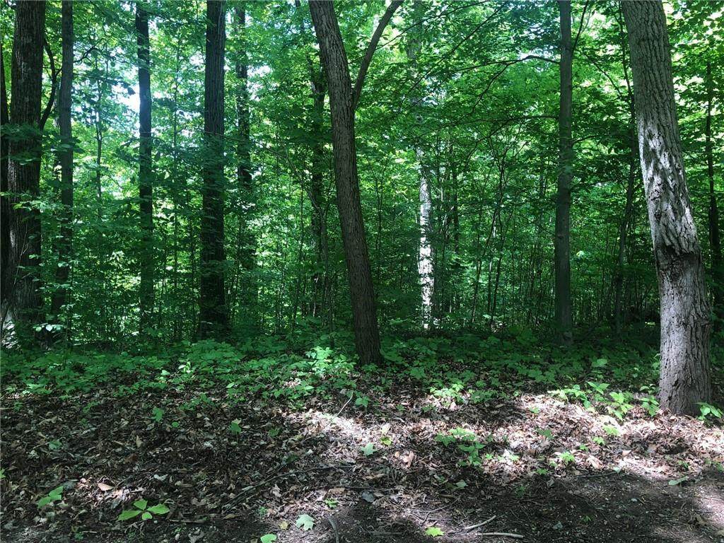 0 Hickory Ridge - Photo 1