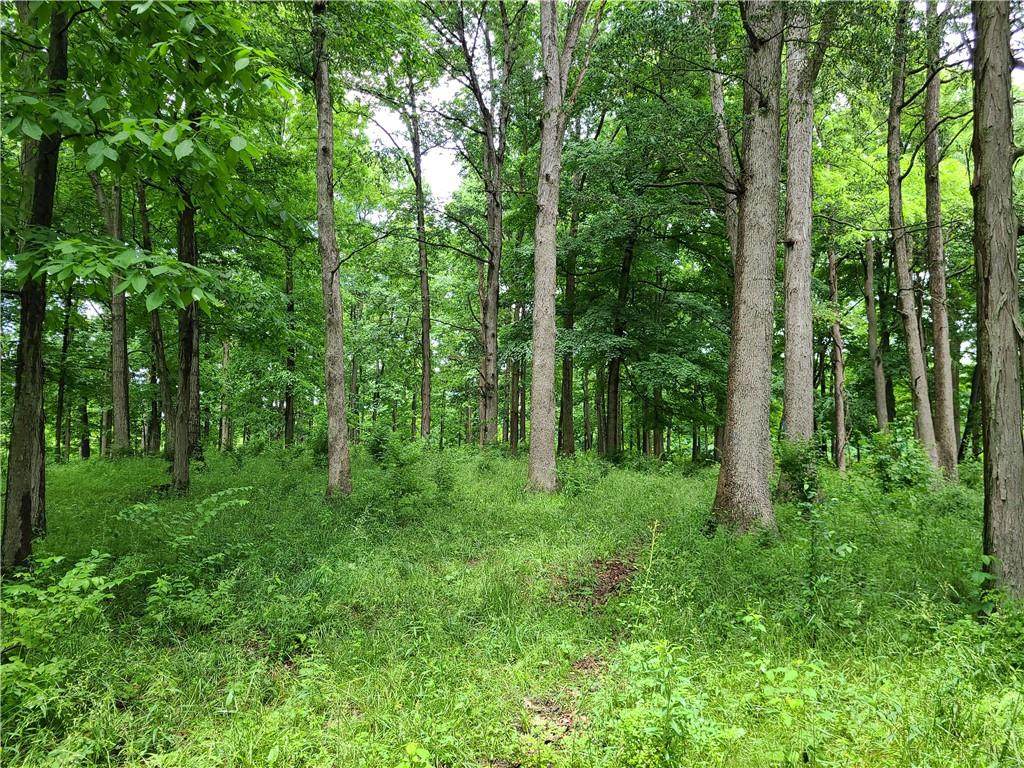 00 Mineral Springs Road - Photo 1