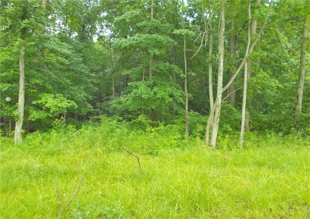 1900 County Road 350 - Photo 1