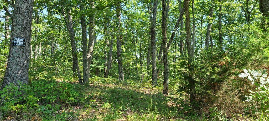 0 Lutheran Lake Road - Photo 1