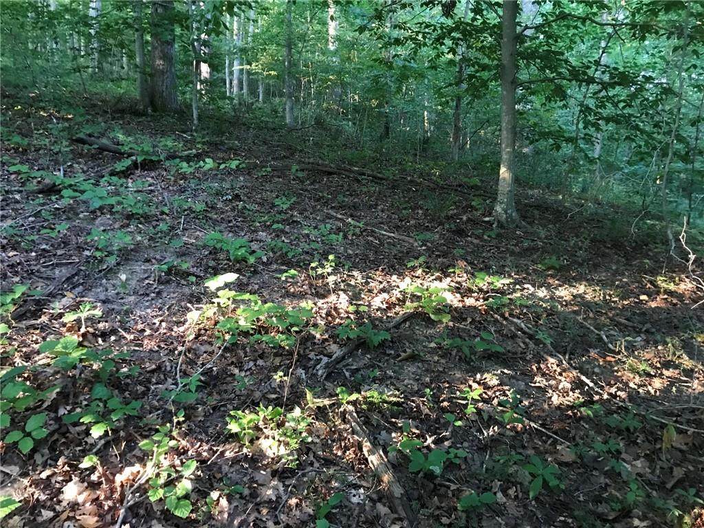 X State Road 46 - Photo 1