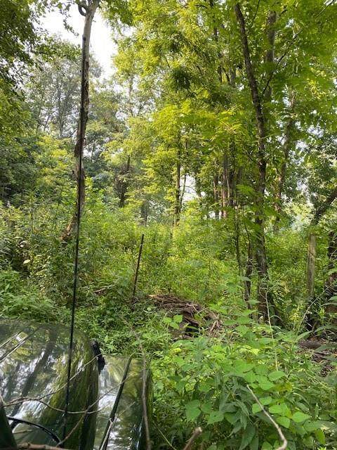 8276 Ferry Road - Photo 1