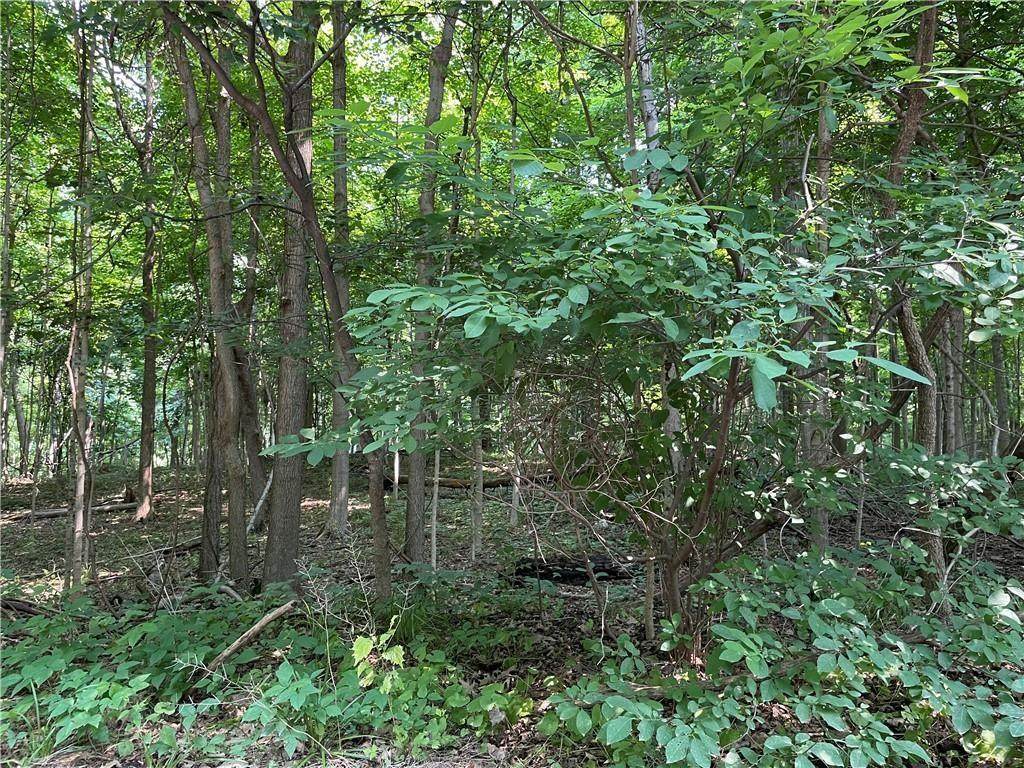 6728 Cardinal Drive - Photo 1