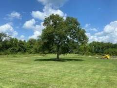 75 Cataract Road - Photo 1