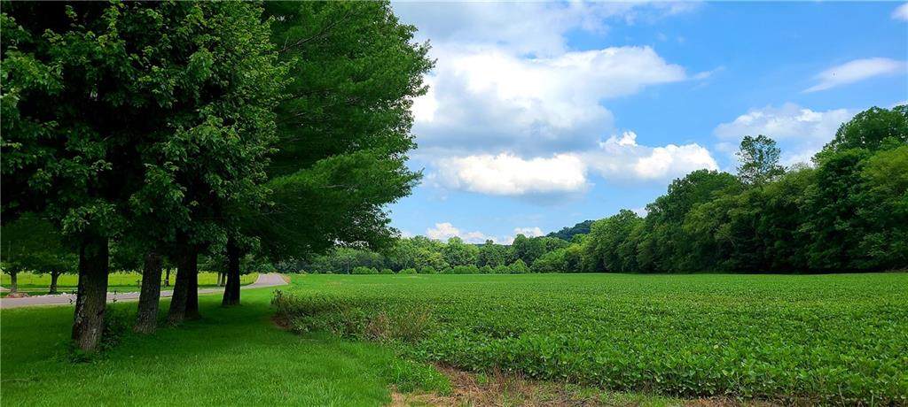 0 Bellsville Pike/Poplar Grove Rd - Photo 1