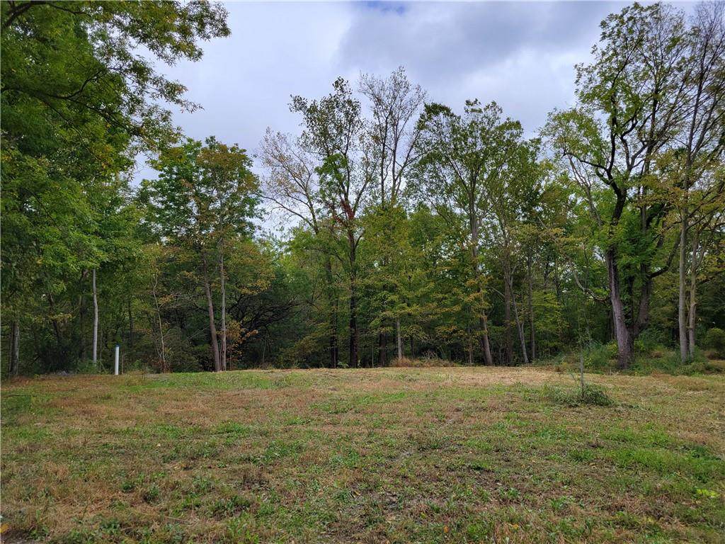 1715 County Road 425 - Photo 1