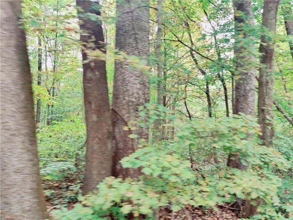 3815 3815-W-3825 County Road 600 - Photo 1