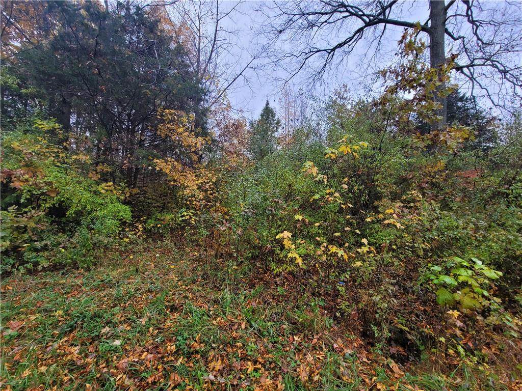 238, 239, 240 Hawthorne Dr - Photo 1