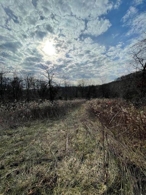 10151 Goose Creek Road - Photo 1