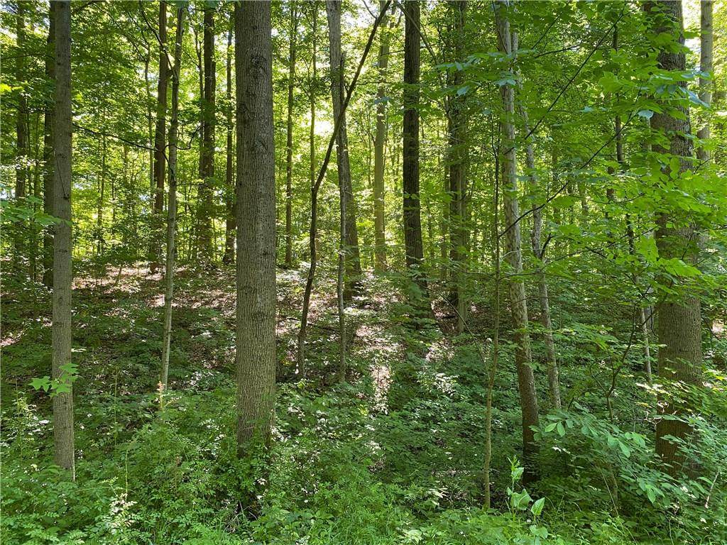 1513 Cayuse Trail - Photo 1