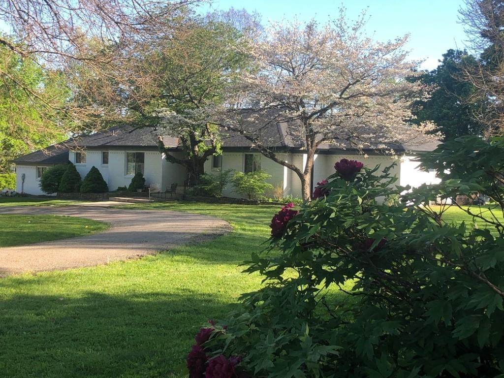 151 Hadley Woodland Street - Photo 1