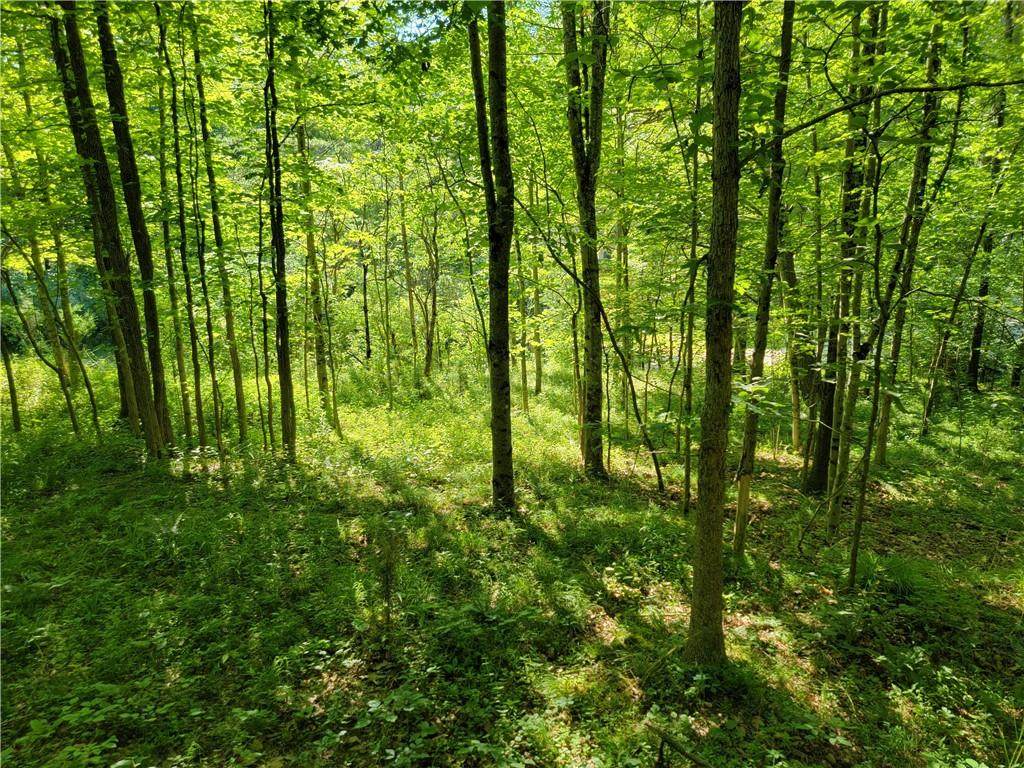 146 Shore Drive - Photo 1