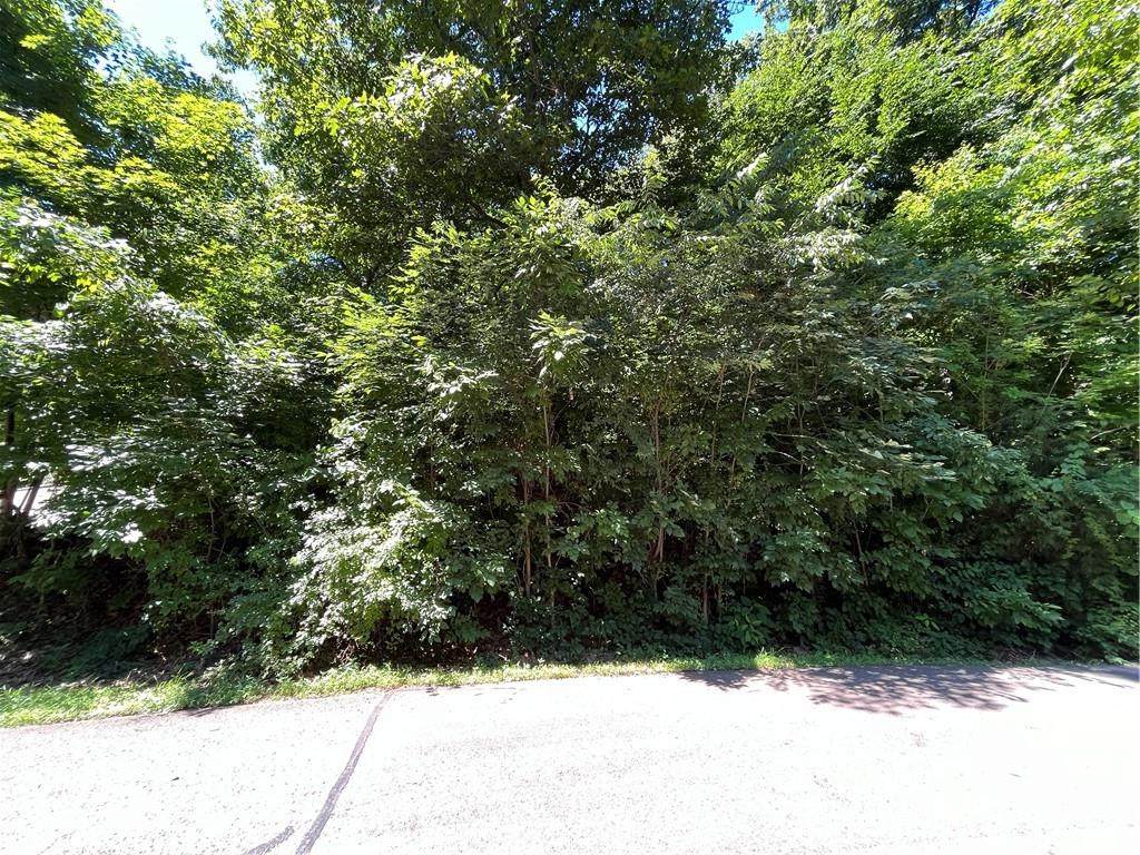 1460 Fox Cross Drive - Photo 1