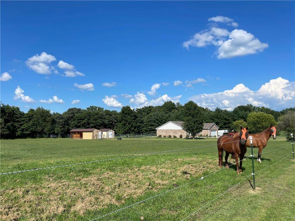 4655 County Road 900 S - Photo 1