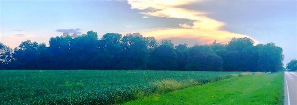880 County Road 1000 - Photo 1