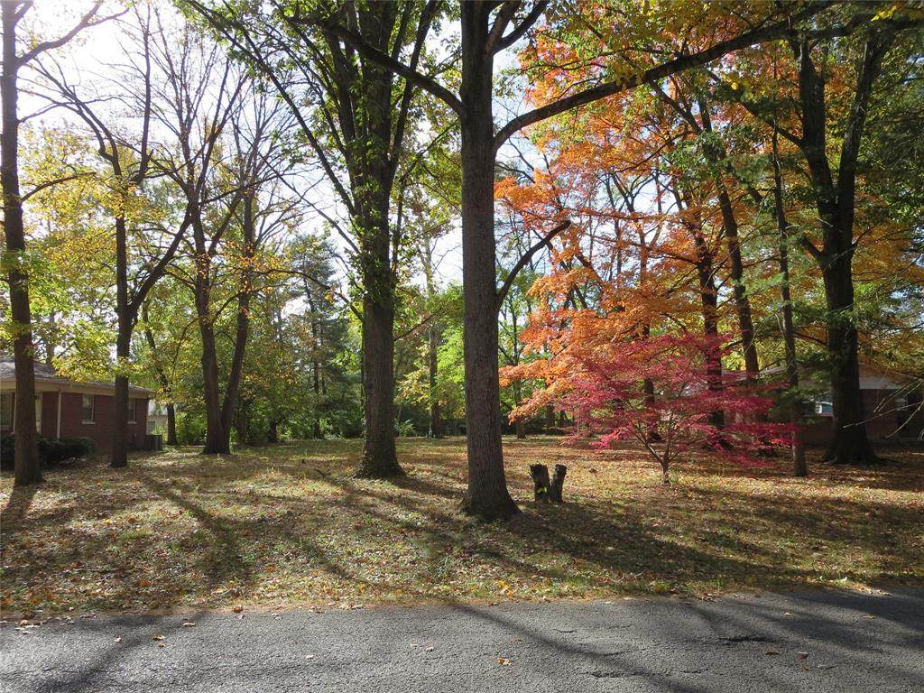 2247 Coil Street - Photo 1