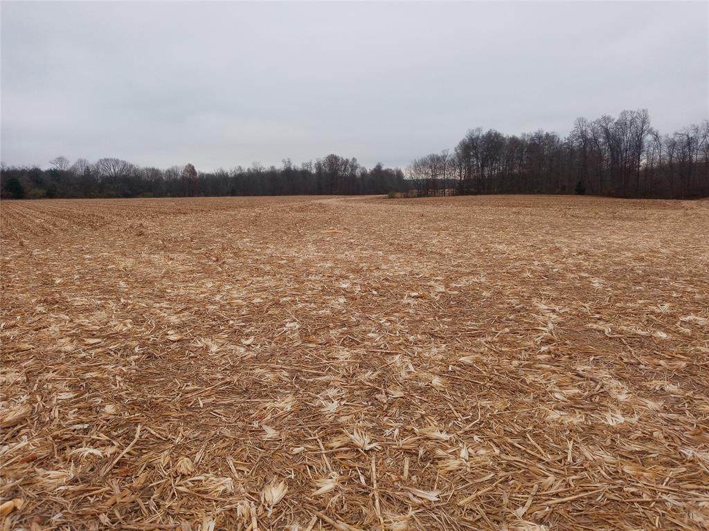 0 County Road 1200 S - Photo 1