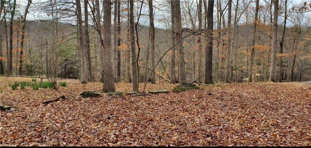 908 State Road 46 Highway - Photo 1